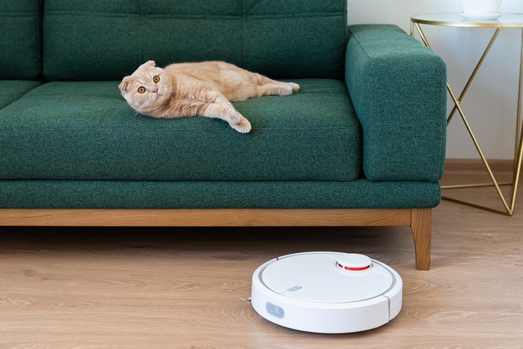 cat laying on couch with robotic vacuum passing by