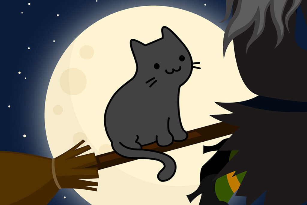 illustrated black cat on witch's broom
